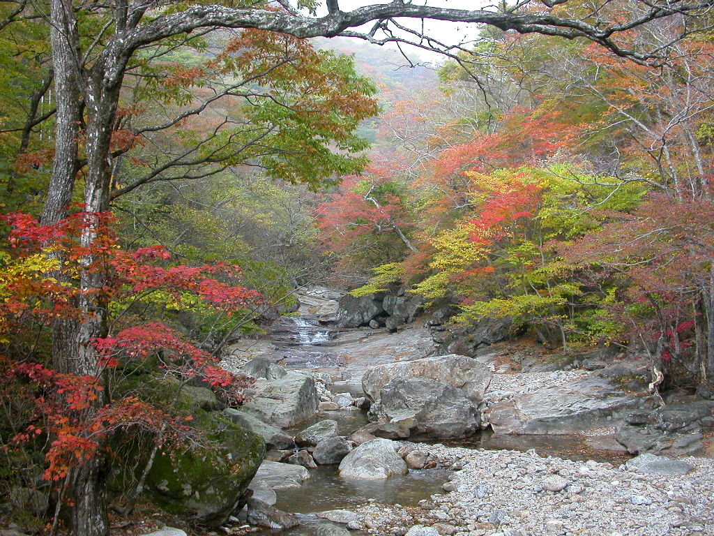 2022년 단풍시기 절정 및 단풍 명소 총정리