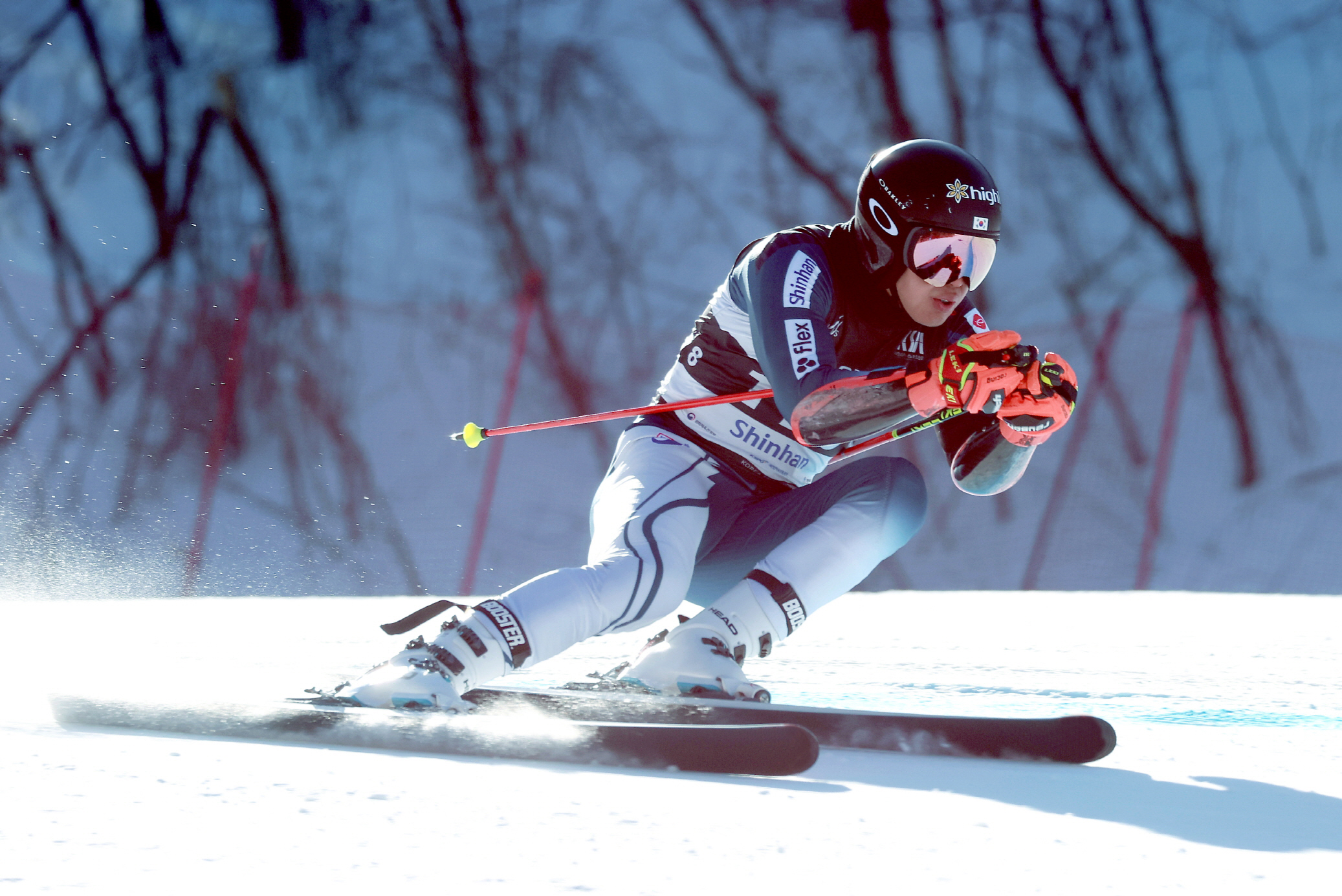제106회 전국동계체전 결과! [시도별 종합 순위, MVP, 다관왕, 체육대회, 스키, 피겨, 쇼트트랙, 스피드 스케이팅]