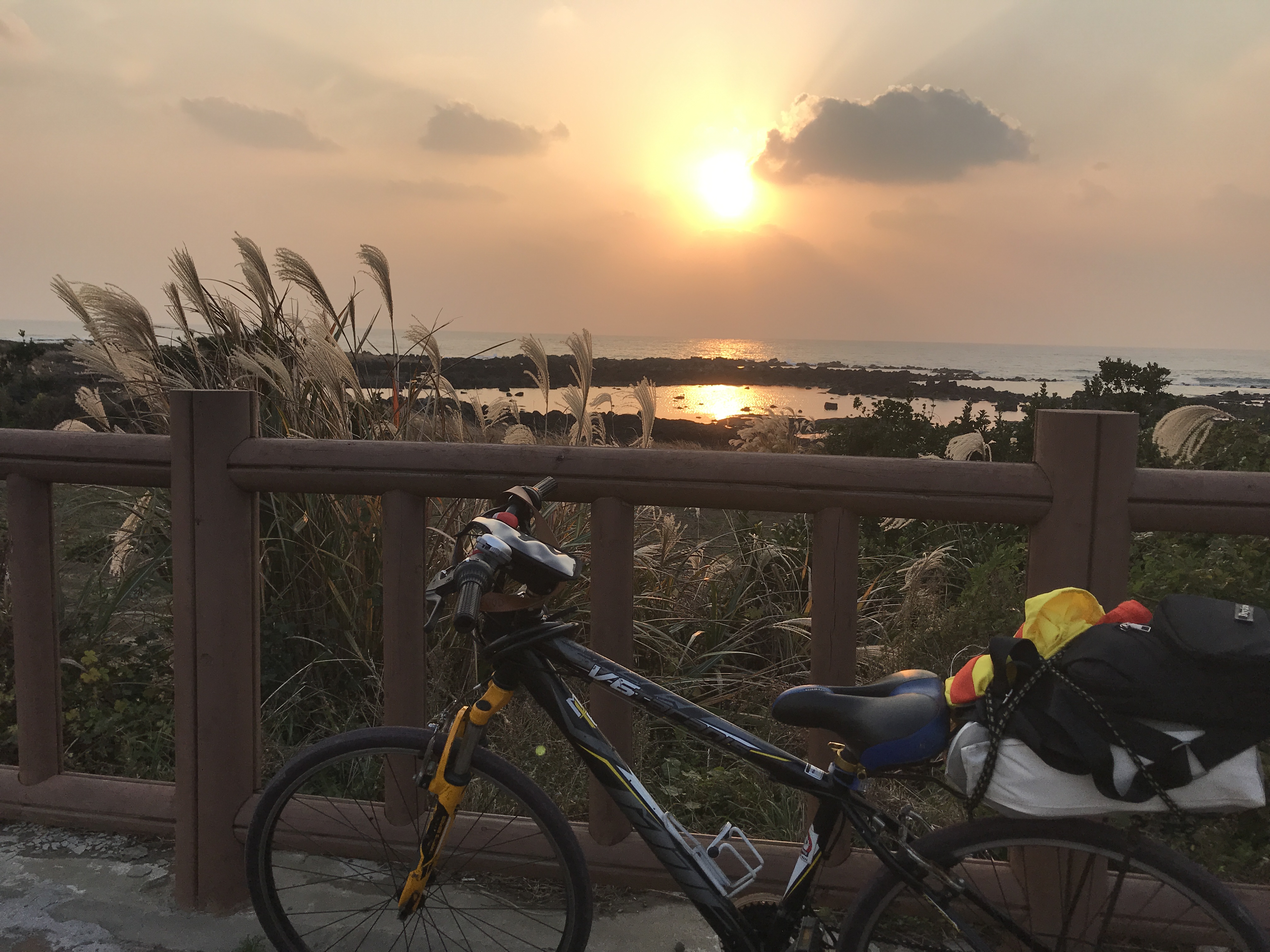 제주 환상 자전거길 관련 사진