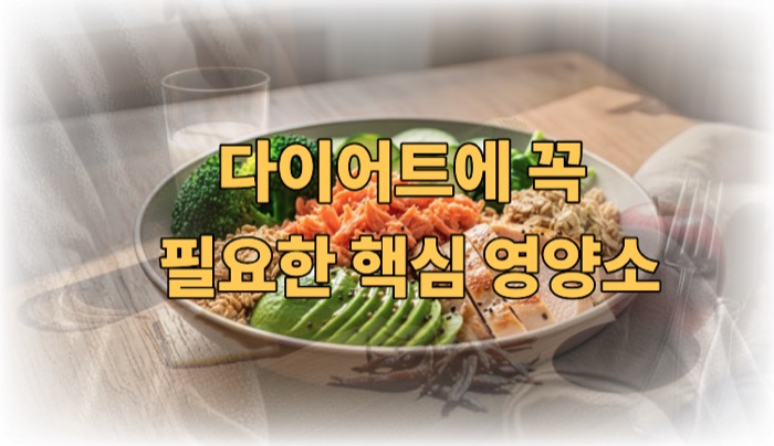 다이어트에 좋은 음식 필요한 핵심
