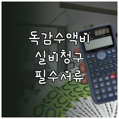 독감 검사비 수액비 실비 보험 청구 ..