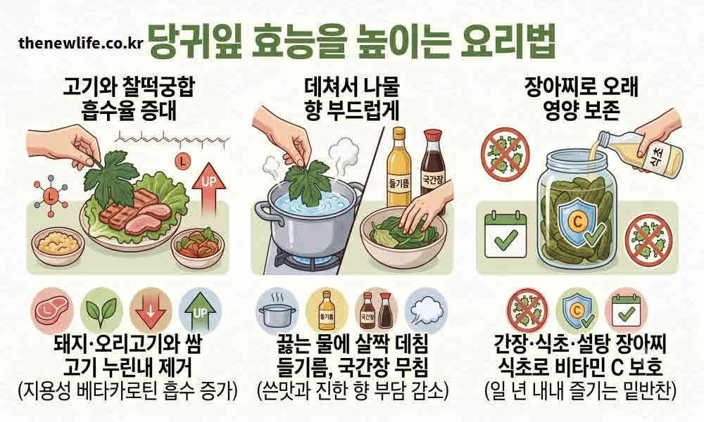 당귀잎 효능 높이는 요리법