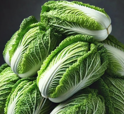 배추30포기-사진8