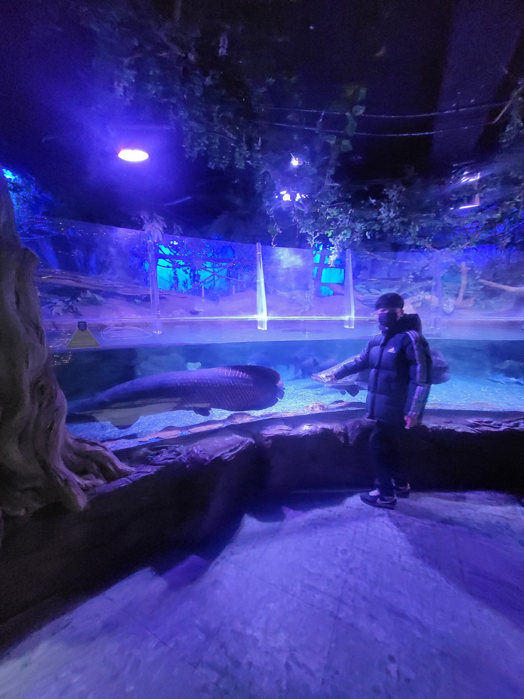 부산 아쿠아리움