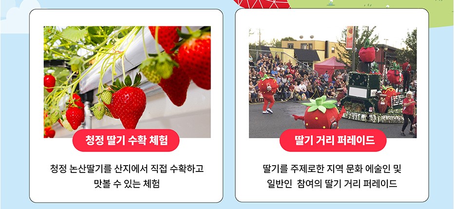 논산딸기축제 정보 먹거리 볼거리