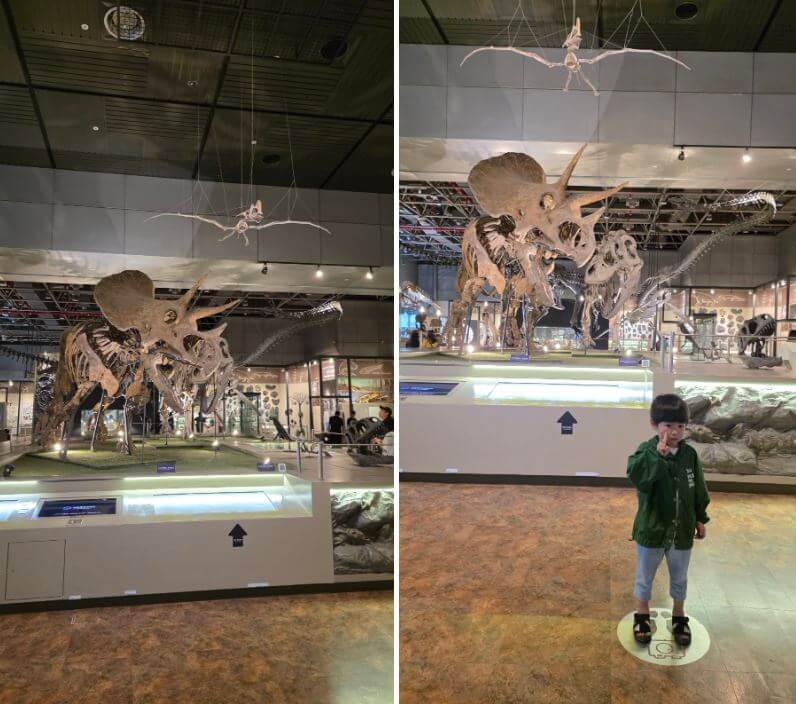 국립중앙과학관 자연사관 &amp; 인류관