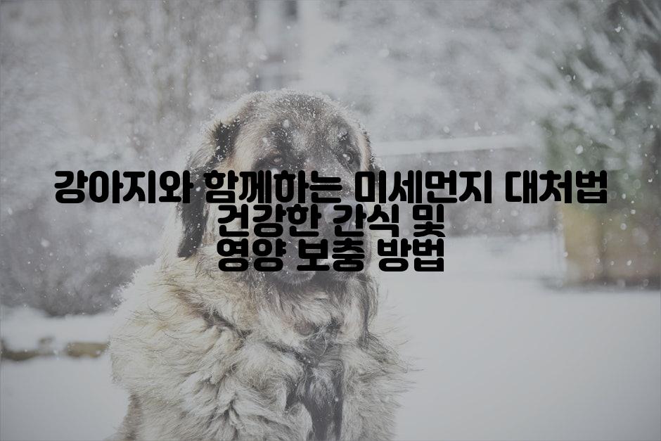 강아지와 함께하는 미세먼지 대처법 건강한 간식 및 영양 보충 방법