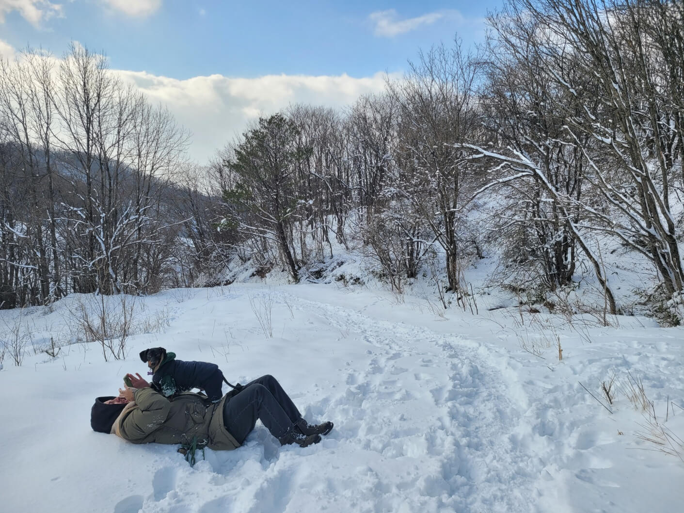 반려견 산책로