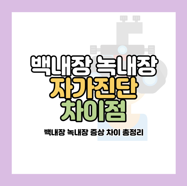 백내장 녹내장 차이