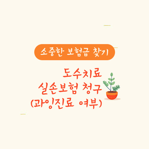 도수치료 실손보험 청구(과잉진료 여부)