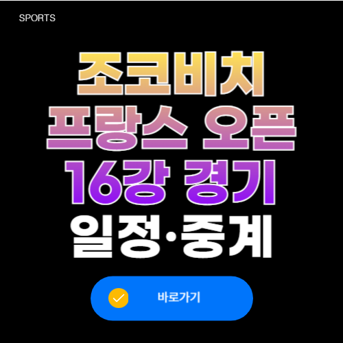 조코비치 프랑스 오픈 16강