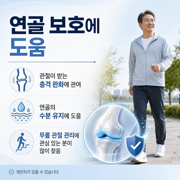 콘드로이친 효능