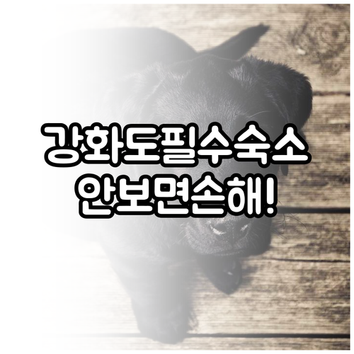 강화도 여행 필수 코스 근처 숙소 5..