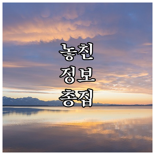 동대문구 주차요금 2025 감면 혜택..