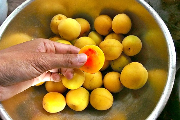 기침 빨리 낫는법,기침 멈추는데 좋은 음식 매실,건강