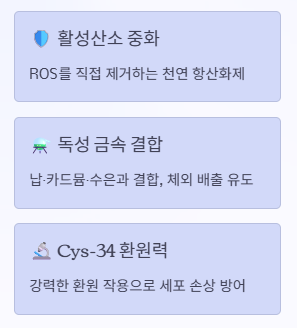 알부민의 효능