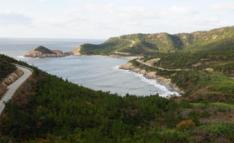 전남 신안 도초도 수국축제