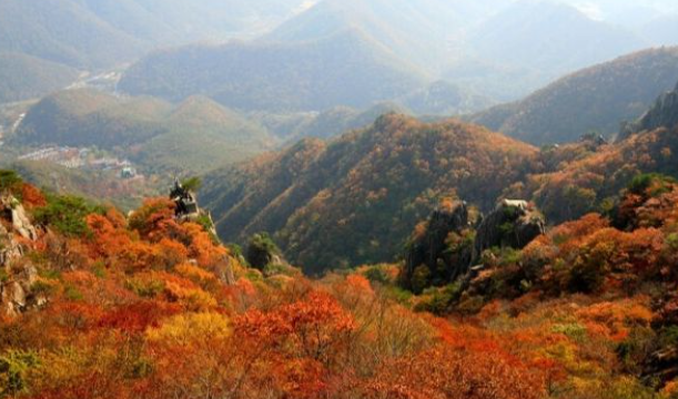 2025 대둔산 단풍 절정 & 등산 코스 총정리 ❘ 케이블카·주차·소요시간 완벽 안내