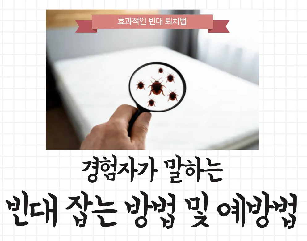 빈대 퇴치법 및 치료법