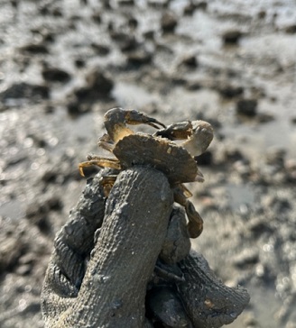 흘곶어촌체험마을