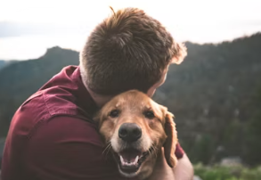 반려동물 용품 전문점 창업에 대하여 알아보기