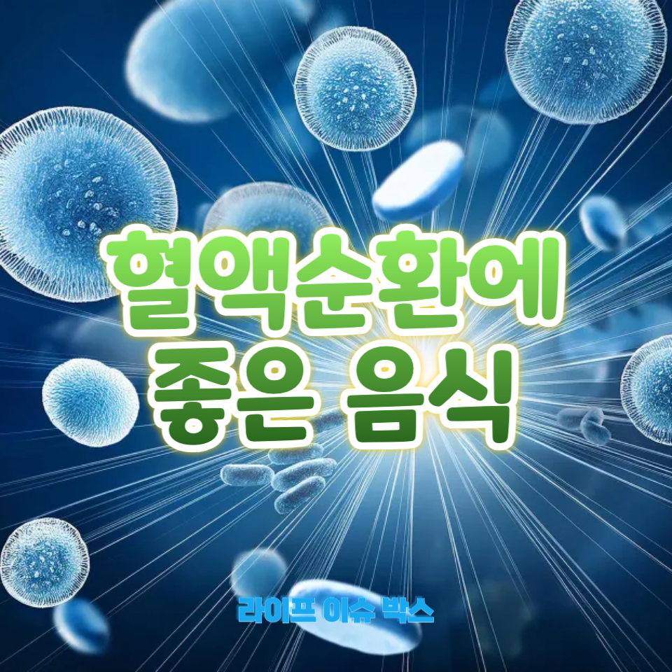 혈액순환에 좋은 음식