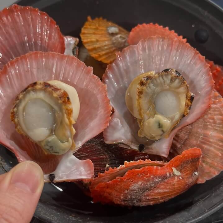 6시내고향 경남 통영의 수산물 전문점 통영자성수산 비단가리비 주문방법 