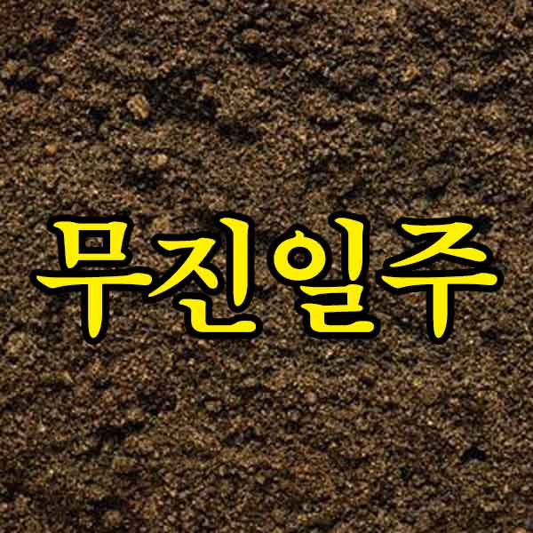 흙위에 세겨진 무진일주 - 썸네일