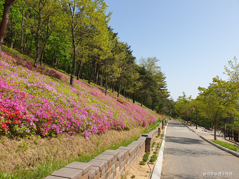 강릉 가볼만한 곳 BEST 10