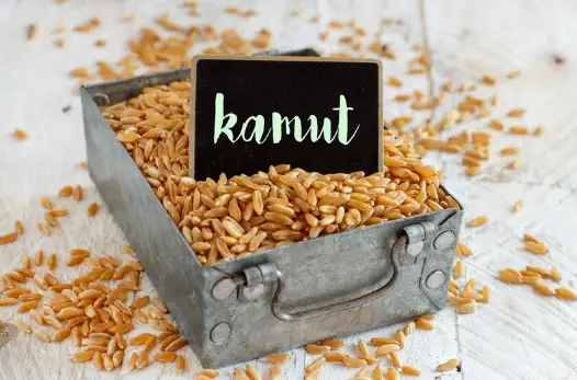 카무트 효능 효과 및 영양성분