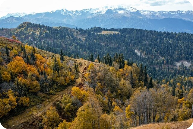 청남대 예약접수 및 입장료 알아보기 - 청담대 예약접수