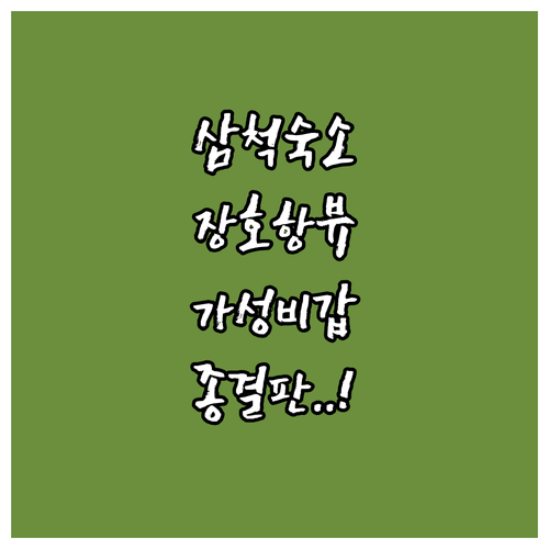 삼척 숙소 추천 장호항 근처 펜션부터..