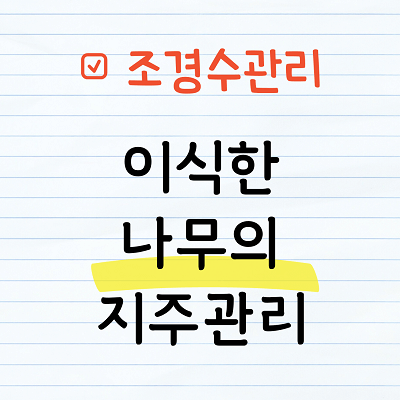 이식한 나무의 지주관리