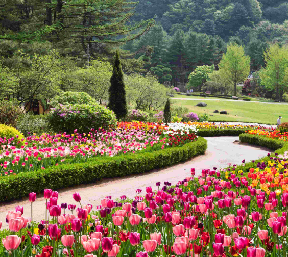 아침고요수목원