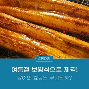 장어 효능 장어와 상극인 음식 건강 상식_14