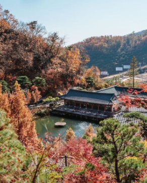 화담숲 예약 3분만에 성공하는 꿀팁