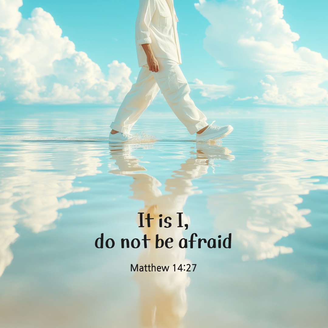 Take courage, it is I; do not be afraid. (Matthew 14:27) by pieonane Daily Bible quote image