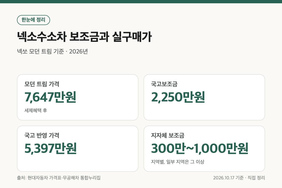 넥소수소차 국고보조금과 지자체 보조금 반영 실구매가 정리