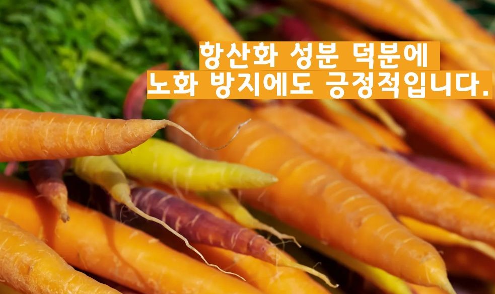 당근 효능 부작용