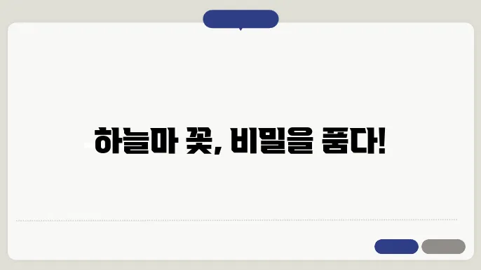 하늘마 꽃