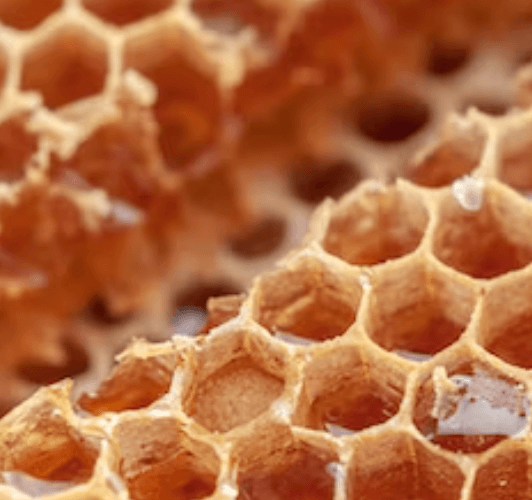 그린 프로폴리스 추천 - 고르는 법_8