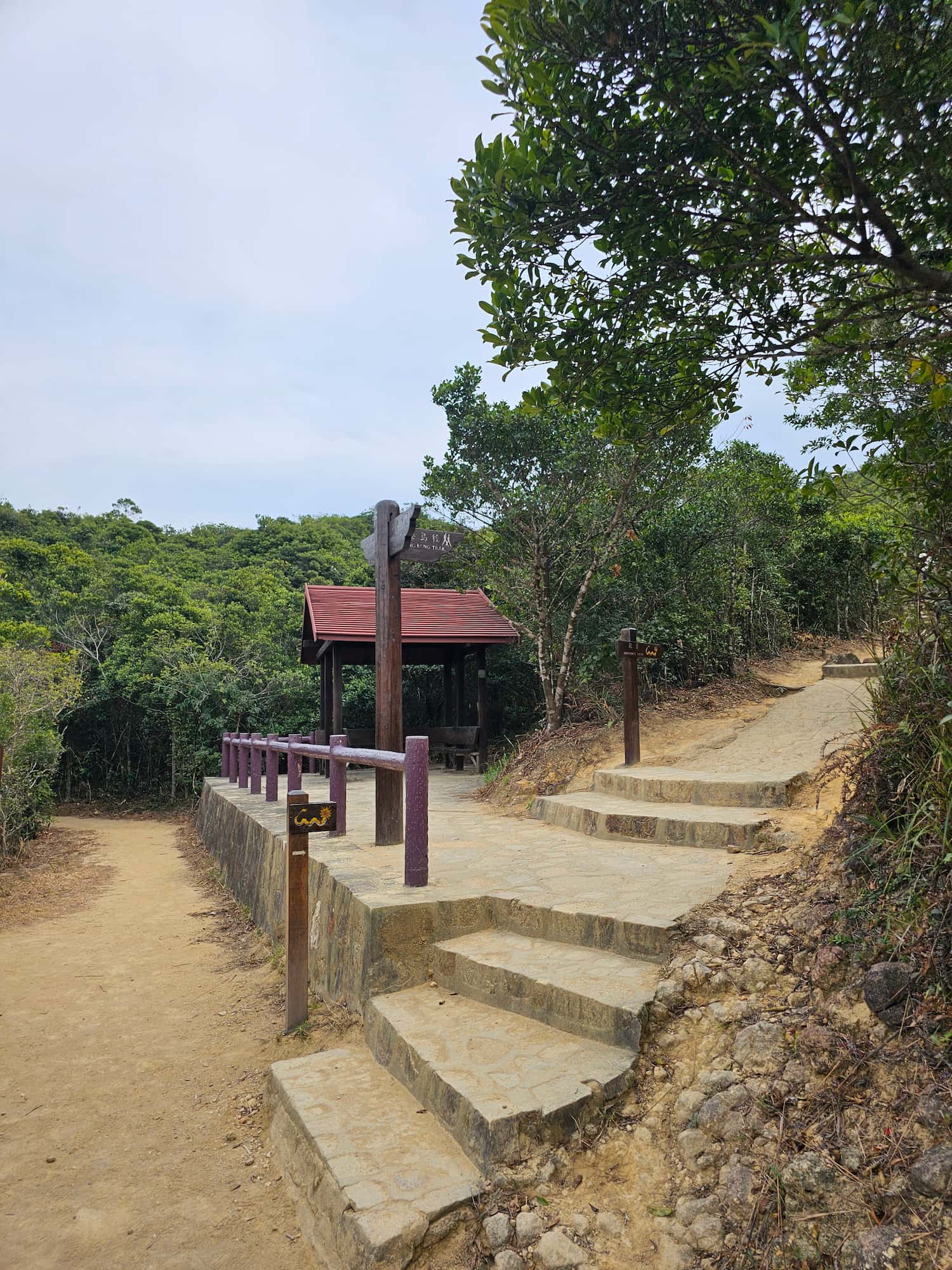 드래곤즈 백 후기