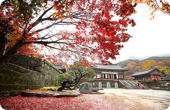 지리산 구례 화엄사 이미지/출처: 문화체육관광부