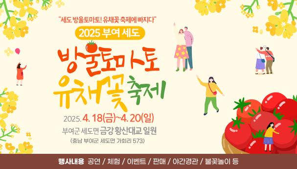 2025 부여 세도 유채꽃 방울토마토 축제 총정리 사진