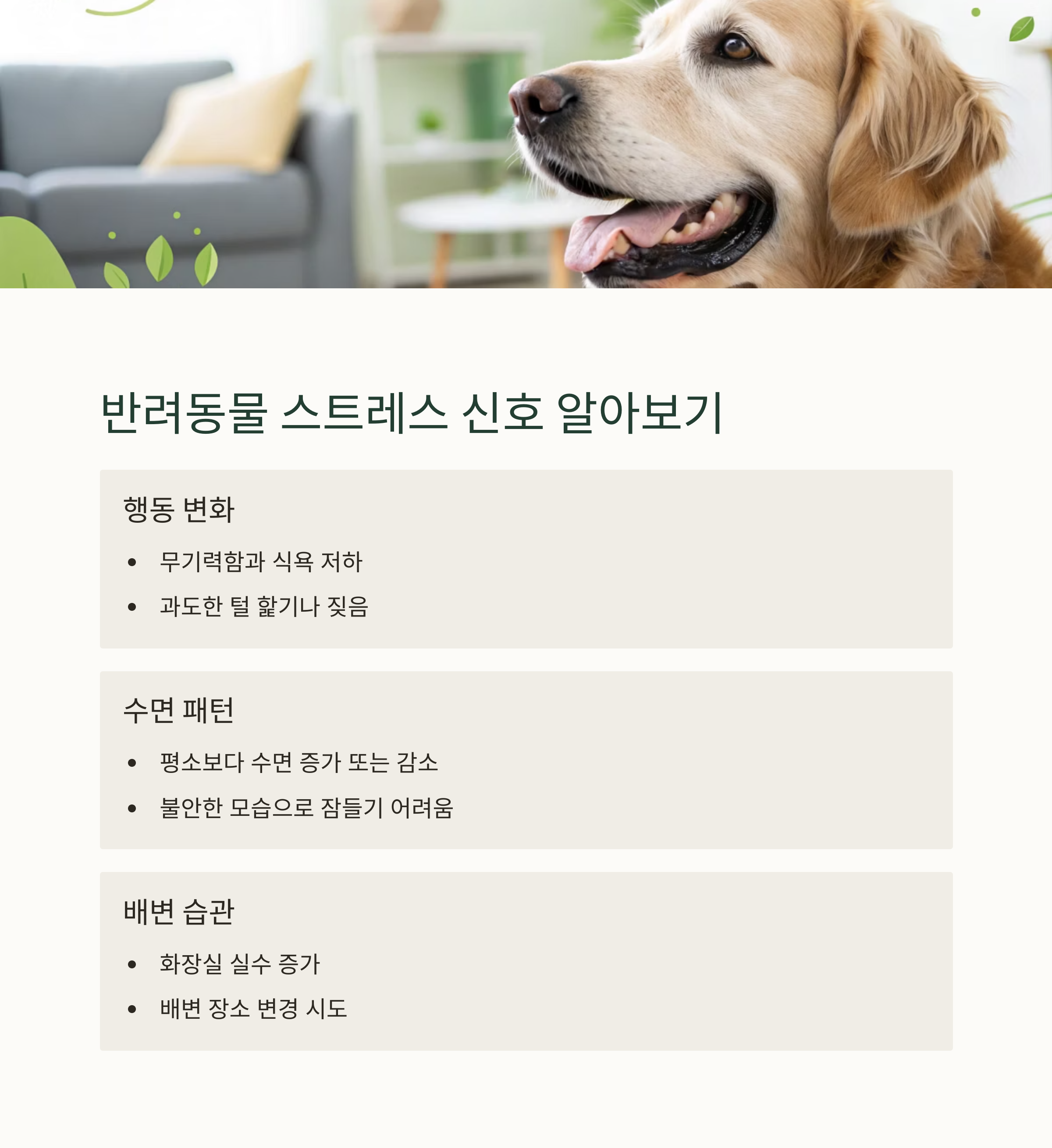 장마철 반려동물 실내 안전관리 가이드