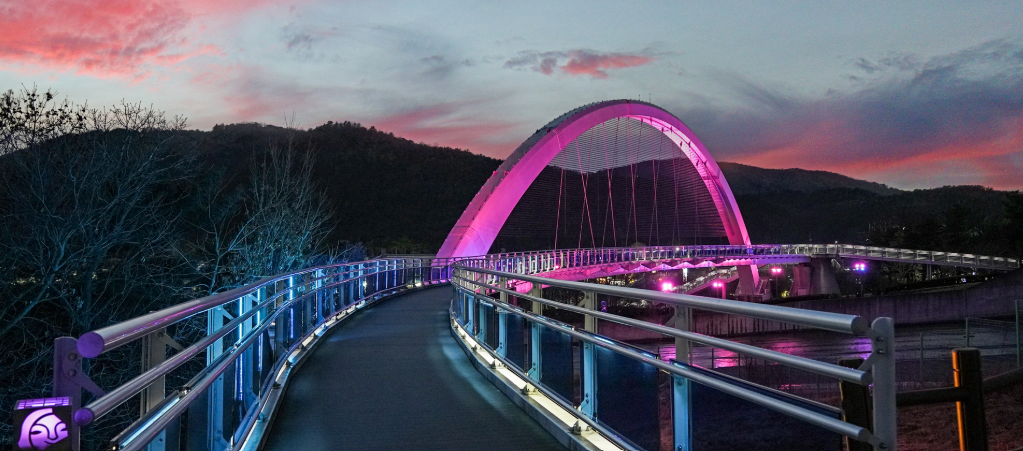 경주 '물너울교 야결' 관련 사진