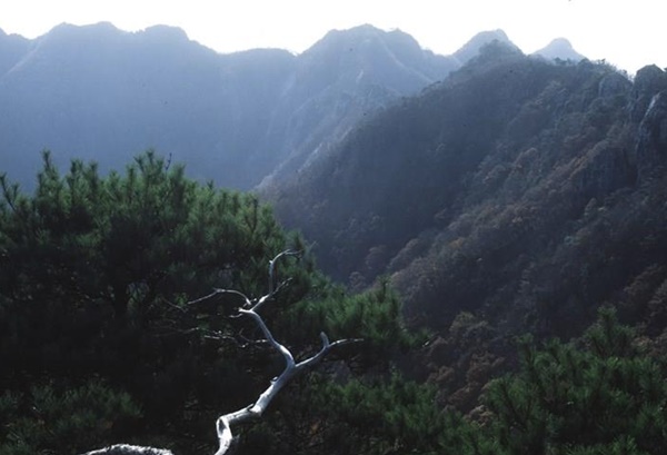 충남 가볼만한 곳 베스트10