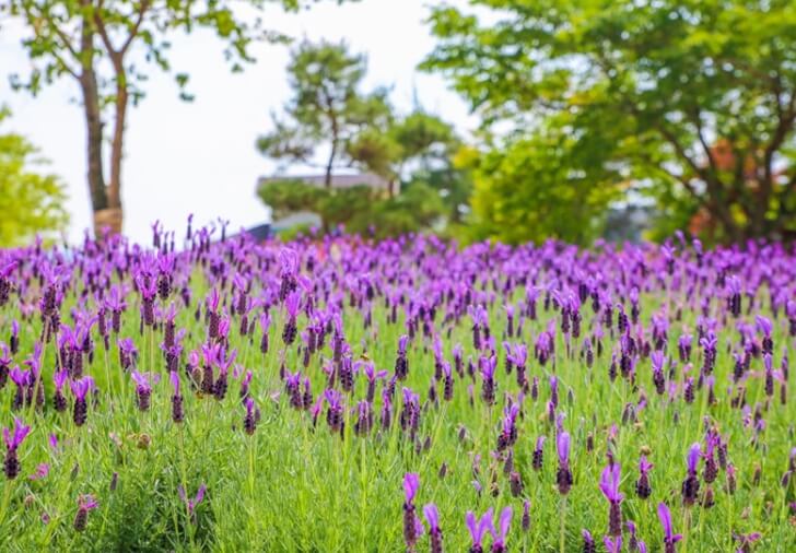남원 가볼만한곳 베스트 10