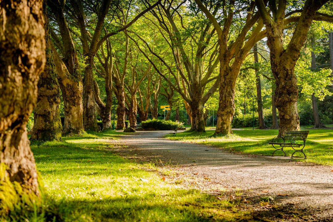 Park
