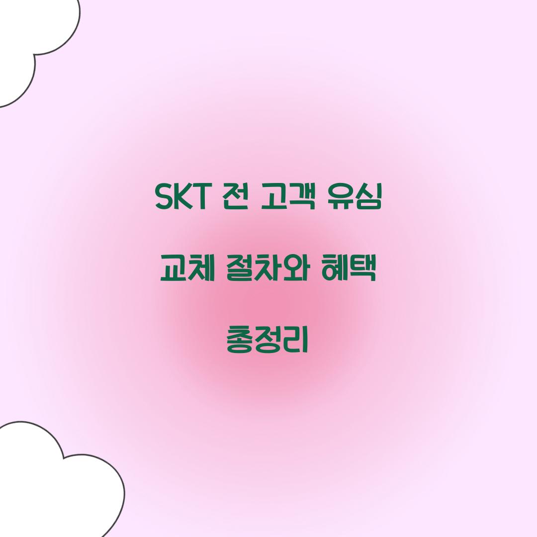 SKT 전 고객 유심 교체